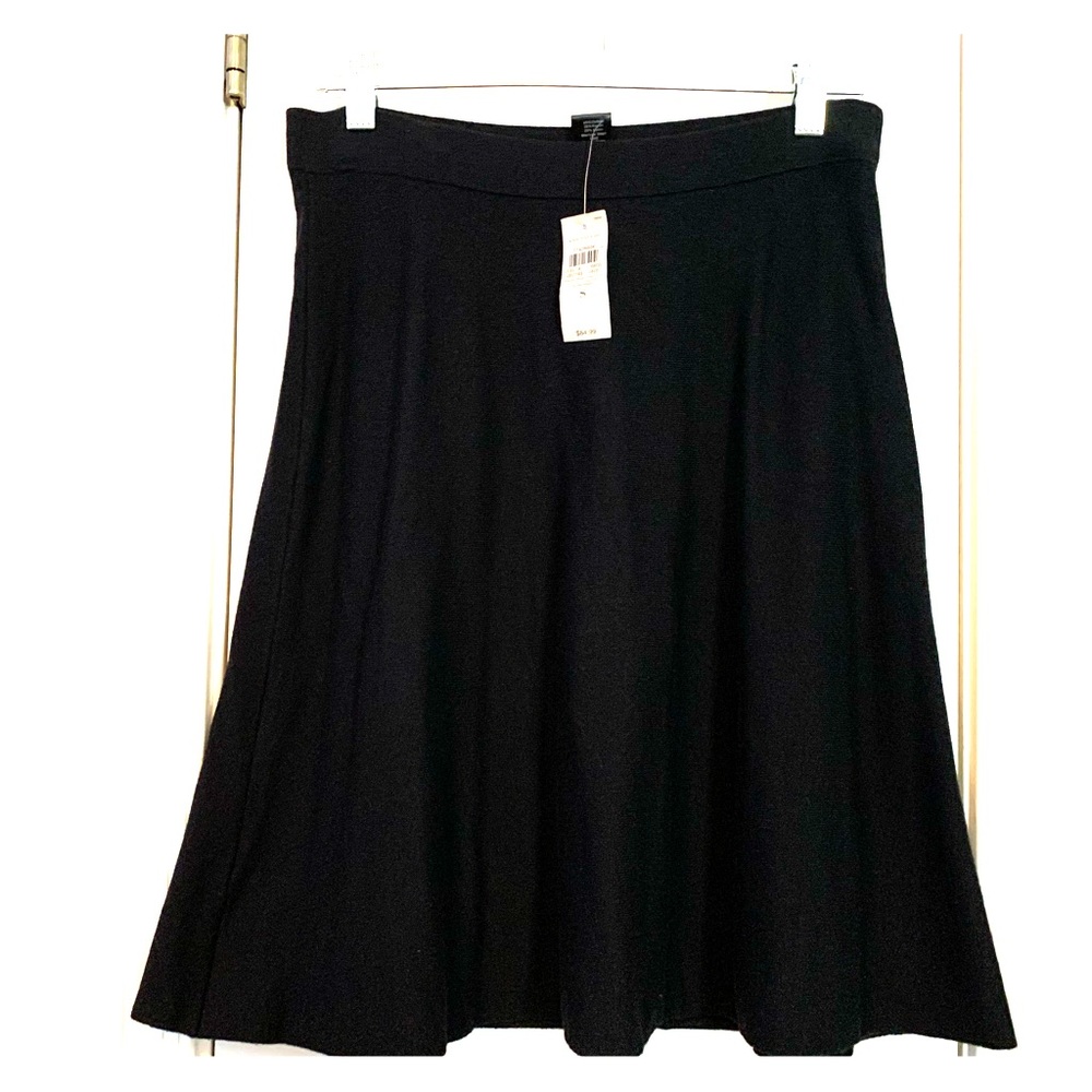 Ann Taylor Flare Skirt